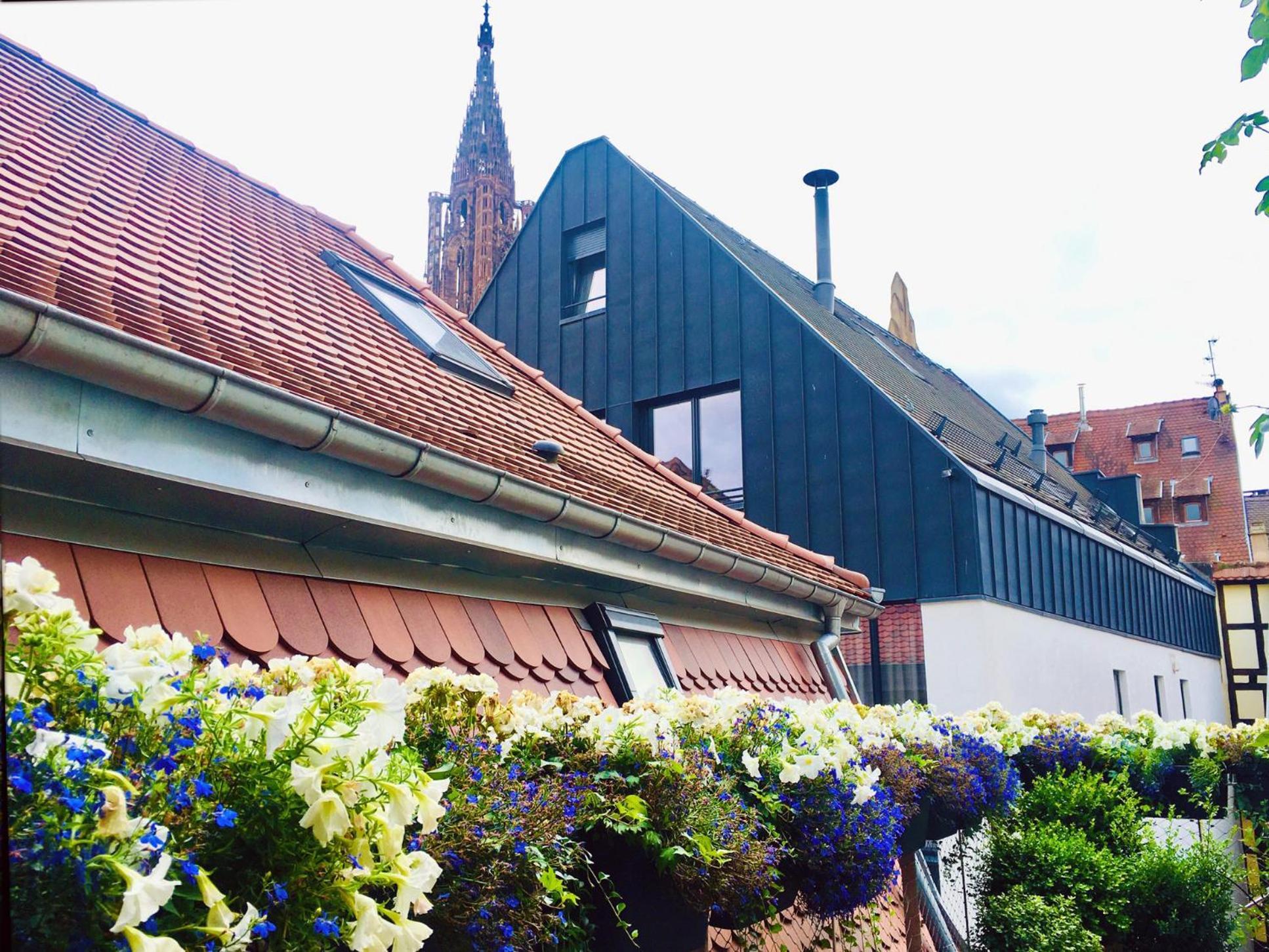 Le Carre D Or Appartement Terrasse Vue Cathedrale Strasbourg Bagian luar foto